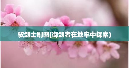 驭剑士刷图(御剑者在地牢中探索)