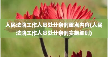 人民法院工作人员处分条例重点内容(人民法院工作人员处分条例实施细则)