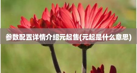 参数配置详情介绍元起售(元起是什么意思)