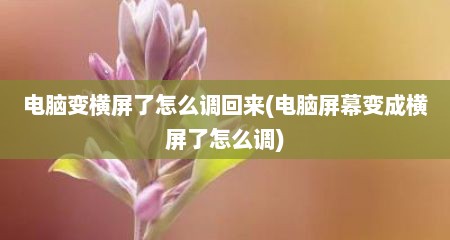 电脑变横屏了怎么调回来(电脑屏幕变成横屏了怎么调)