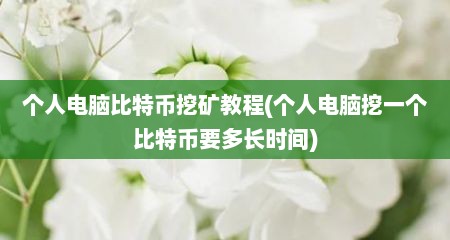 个人电脑比特币挖矿教程(个人电脑挖一个比特币要多长时间)