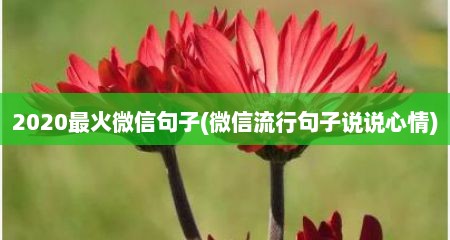 2020最火微信句子(微信流行句子说说心情)