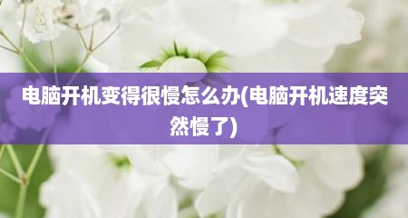 电脑开机变得很慢怎么办(电脑开机速度突然慢了)