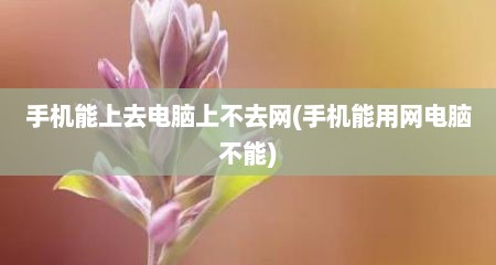 手机能上去电脑上不去网(手机能用网电脑不能)