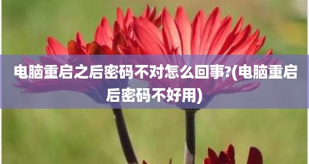 电脑重启之后密码不对怎么回事?(电脑重启后密码不好用)