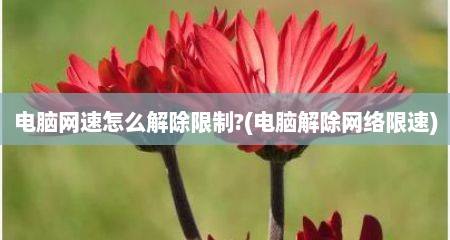 电脑网速怎么解除限制?(电脑解除网络限速)