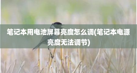 笔记本用电池屏幕亮度怎么调(笔记本电源亮度无法调节)