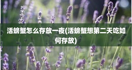 活螃蟹怎么存放一夜(活螃蟹想第二天吃如何存放)