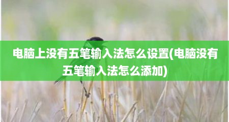 电脑上没有五笔输入法怎么设置(电脑没有五笔输入法怎么添加)