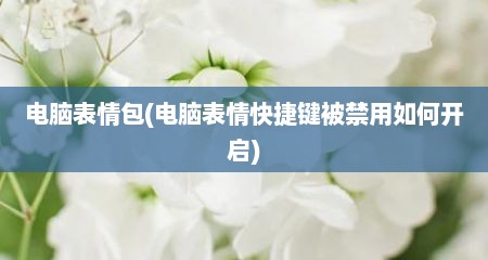 电脑表情包(电脑表情快捷键被禁用如何开启)