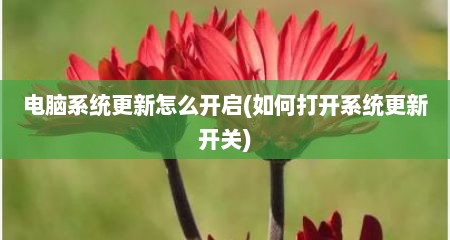 电脑系统更新怎么开启(如何打开系统更新开关)