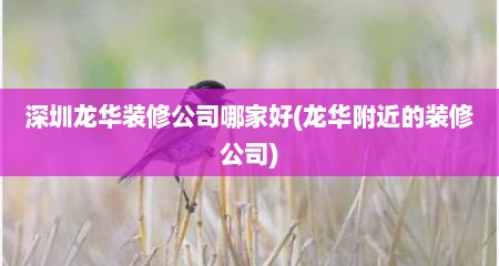 深圳龙华装修公司哪家好(龙华附近的装修公司)