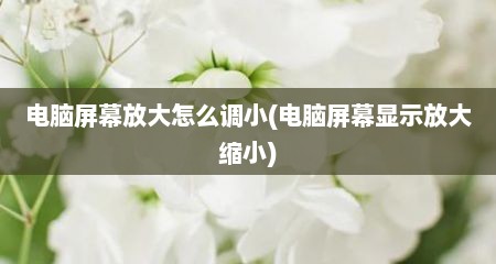 电脑屏幕放大怎么调小(电脑屏幕显示放大缩小)