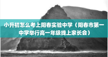 小升初怎么考上阳春实验中学（阳春市第一中学举行高一年级线上家长会）