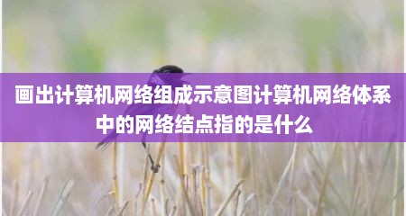 画出计算机网络组成示意图计算机网络体系中的网络结点指的是什么