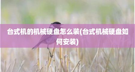 台式机的机械硬盘怎么装(台式机械硬盘如何安装)