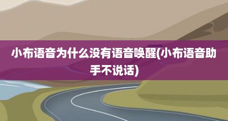 小布语音为什么没有语音唤醒(小布语音助手不说话)