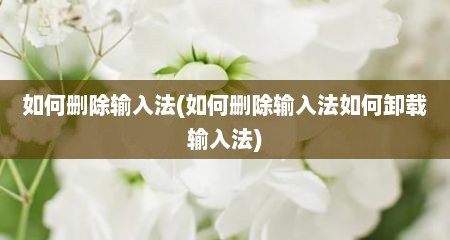 如何删除输入法(如何删除输入法如何卸载输入法)