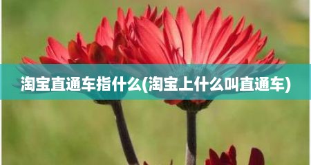 淘宝直通车指什么(淘宝上什么叫直通车)