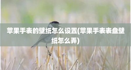 苹果手表的壁纸怎么设置(苹果手表表盘壁纸怎么弄)