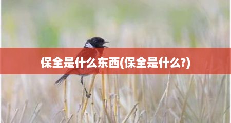 保全是什么东西(保全是什么?)