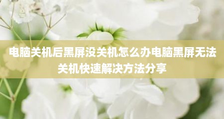 电脑关机后黑屏没关机怎么办电脑黑屏无法关机快速解决方法分享