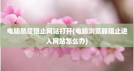 电脑总是阻止网站打开(电脑浏览器阻止进入网站怎么办)