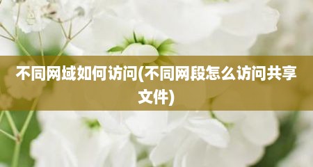 不同网域如何访问(不同网段怎么访问共享文件)