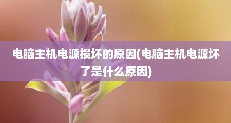 电脑主机电源损坏的原因(电脑主机电源坏了是什么原因)