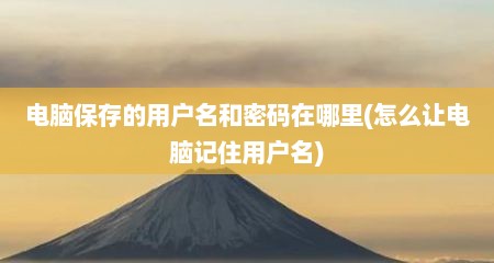 电脑保存的用户名和密码在哪里(怎么让电脑记住用户名)