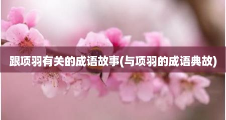 跟项羽有关的成语故事(与项羽的成语典故)