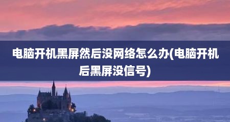 电脑开机黑屏然后没网络怎么办(电脑开机后黑屏没信号)