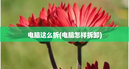 电脑这么拆(电脑怎样拆卸)