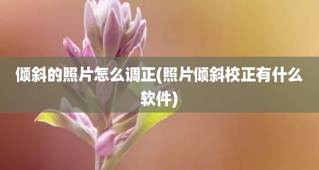 倾斜的照片怎么调正(照片倾斜校正有什么软件)