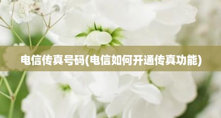 电信传真号码(电信如何开通传真功能)