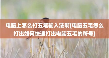 电脑上怎么打五笔输入法啊(电脑五毛怎么打出如何快速打出电脑五毛的符号)