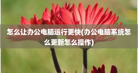 怎么让办公电脑运行更快(办公电脑系统怎么更新怎么操作)