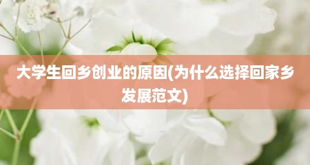 大学生回乡创业的原因(为什么选择回家乡发展范文)