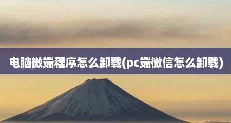 电脑微端程序怎么卸载(pc端微信怎么卸载)