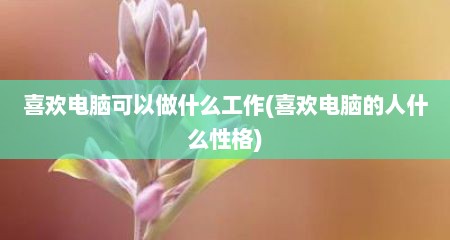 喜欢电脑可以做什么工作(喜欢电脑的人什么性格)