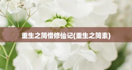 重生之简惜修仙记(重生之简素)