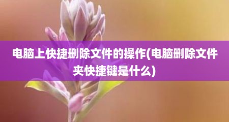 电脑上快捷删除文件的操作(电脑删除文件夹快捷键是什么)