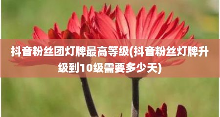 抖音粉丝团灯牌最高等级(抖音粉丝灯牌升级到10级需要多少天)