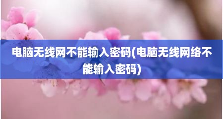 电脑无线网不能输入密码(电脑无线网络不能输入密码)