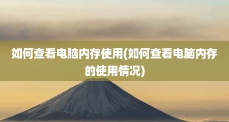 如何查看电脑内存使用(如何查看电脑内存的使用情况)