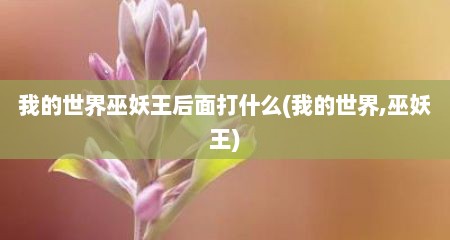 我的世界巫妖王后面打什么(我的世界,巫妖王)