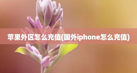 苹果外区怎么充值(国外iphone怎么充值)