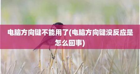 电脑方向键不能用了(电脑方向键没反应是怎么回事)