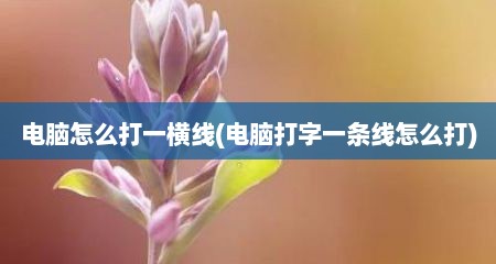 电脑怎么打一横线(电脑打字一条线怎么打)