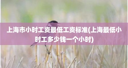 上海市小时工资最低工资标准(上海最低小时工多少钱一个小时)